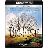 ビッグ・フィッシュ 4K ULTRA HD & ブルーレイセット [4K ULTRA HD + Blu-ray]