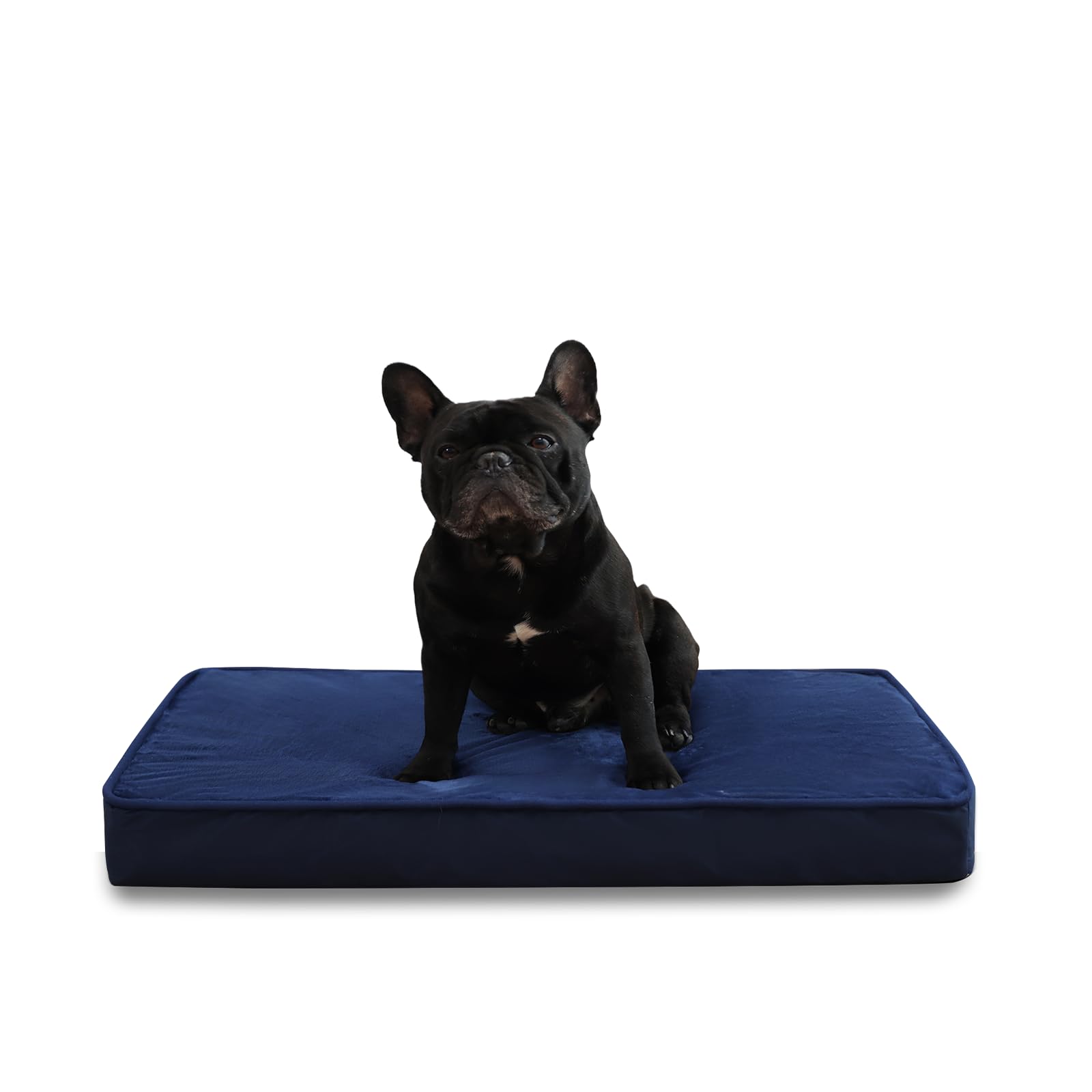 Jaspuriea Small Dog Beds Washable with Waterproof Removable Cover, Orthopedic Dog Bed with Anti-Slip Bottom