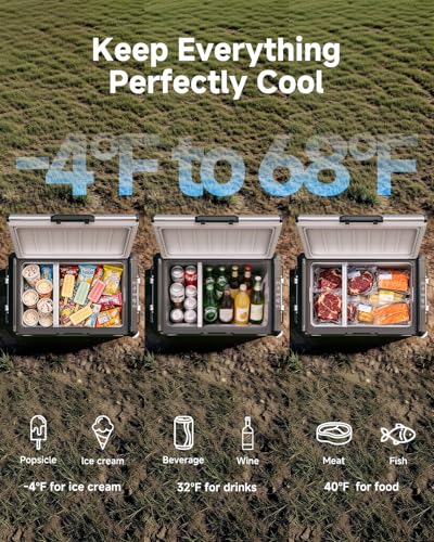 Image of BODEGA Portable 12V Car Refrigerator, 47QT Stainless Steel Fridge with Removable Divider for Dual Zone MAX /ECO Modes & Battery Protection, Electric Cooler for RV, Truck, Camping