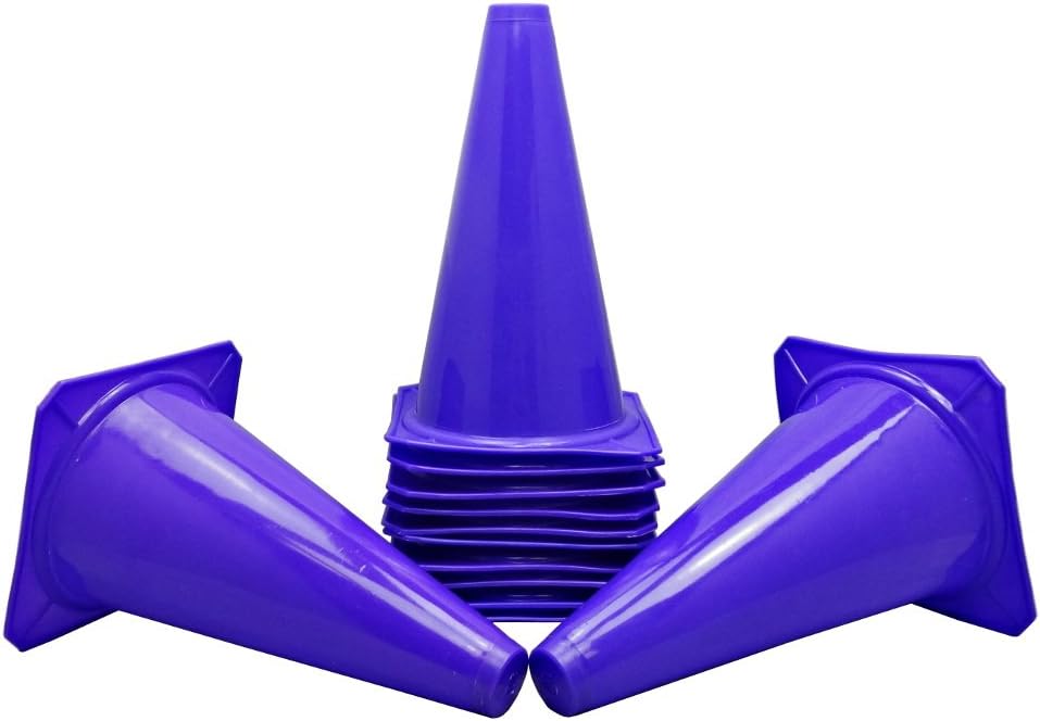 BlueDot Trading Agility Cones