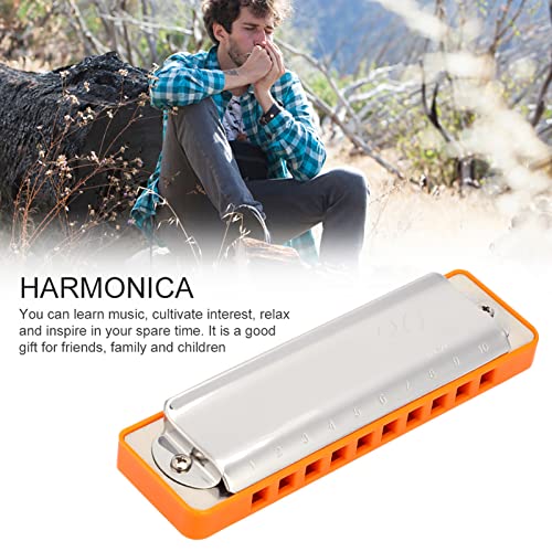 Dilwe Harmonica, C Key AM-20D Phosphore Bronze Reed 10 Trous 20 Tons Blues Harmonica Instrument à Vent pour Adultes… - Les Beatles, Paul McCartney, John Lennon, RIngo Starr, George Harrison Dilwe Harmonica, C Key AM-20D Phosphore Bronze Reed 10 Trous 20 Tons Blues Harmonica Instrument à Vent pour Adultes… – Image 6