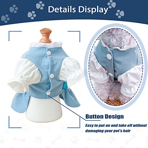 Tengzhi Small Dog Dress Cute Carrot Pocket Blue Lace Princess Puppy Dress Skirt Fall Winter Thick Holiday Pet Clothes Dresses For Small Dogs Girl Cat Outfit (M,Blue #TOP6