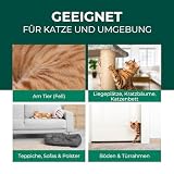 Silberkraft Milbenspray Katzen 500ml - Effektives Anti Milben Spray für Katzen - Milbenbefall behandeln Ohrmilben Räudemilben Katzenmilben