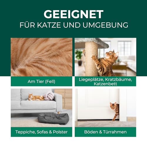 Silberkraft Milbenspray Katzen 500ml - Effektives Anti Milben Spray für Katzen - Milbenbefall behandeln Ohrmilben Räudemilben Katzenmilben