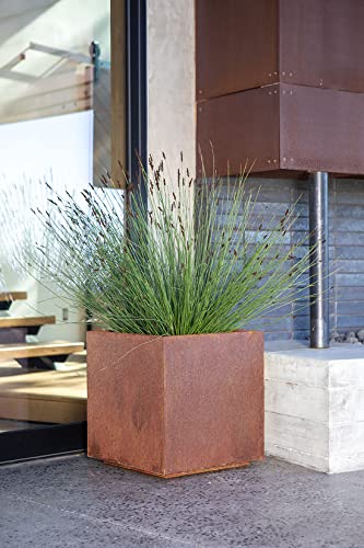 Veradek Metallic Series Cube Medium Planter - Corten Steel #TOP4