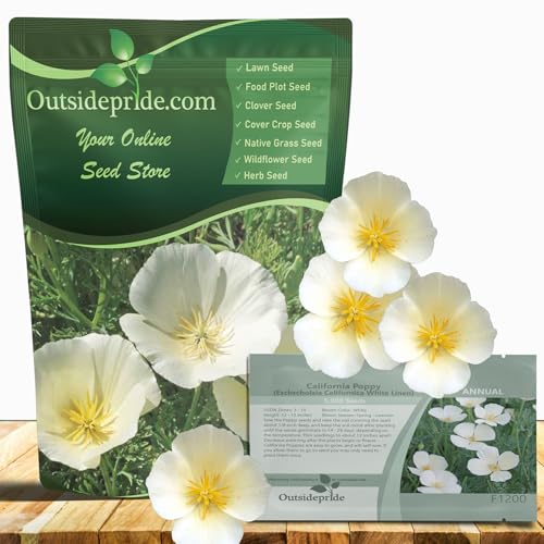 Outsidepride White Linen California Poppy Seeds - 1/4 Lb. Annual,