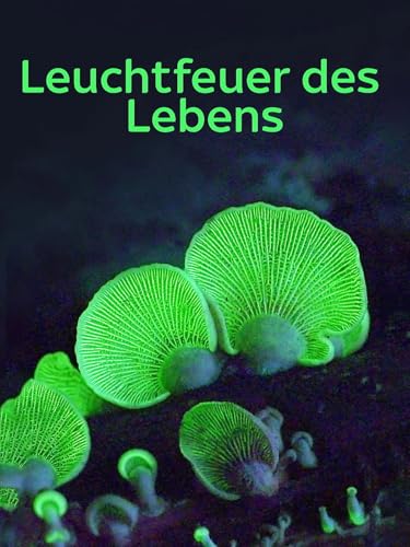 Leuchtfeuer des Lebens [dt./OV]
