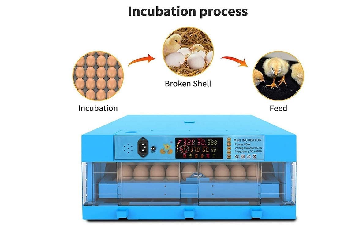 Incubatore, incubatore Completamente Automatico, incubatore con Display della Temperatura a LED e sensore di Temperatura preciso, Regolazione della Temperatura e dell'umidità