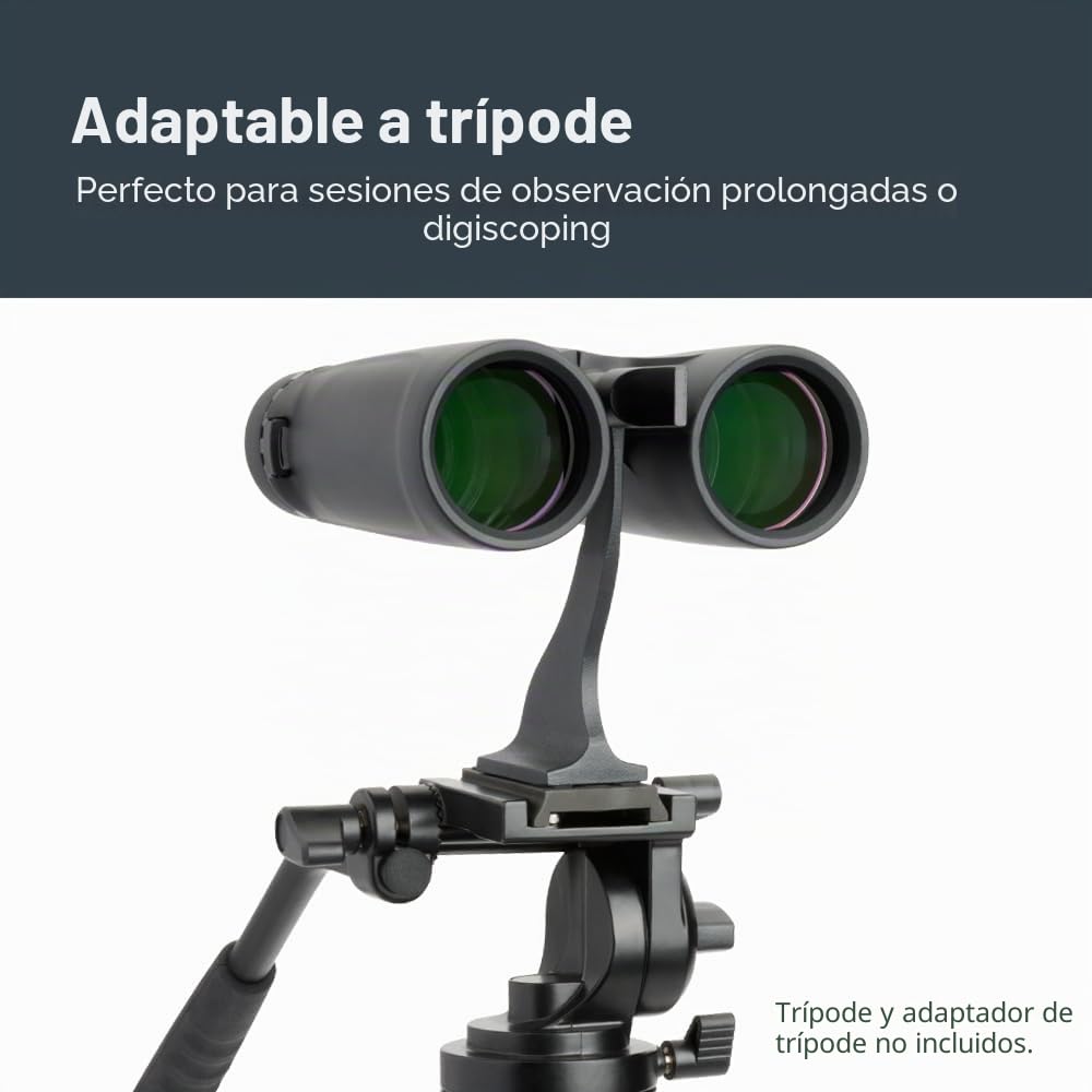 Celestron 71347 10 x 42 Outland X: prismáticos, negro