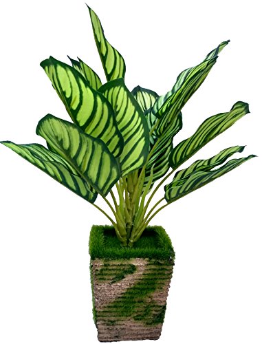 Buy Bageecha Garden Artificial Green Color Plant 10 Inchs 25 Cms With 