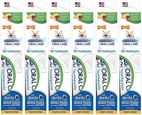 Nylabone Advanced Oral Care Natural Toothpaste