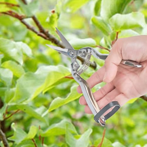 Set de 3 Tijeras de Podar en Acero SK5 para Jardín miniatura 5