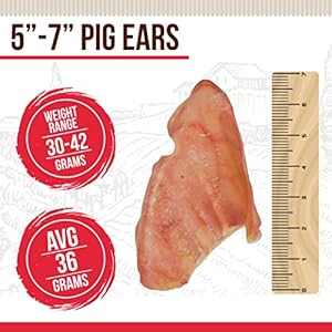 Pig Ears for Dogs 100% Natural Healthy & Pure Pork Ear is Easily Digestible with No Added Colorings, Chemicals Rawhide & Odor Free Dog Treats All Breed Sizes – Jumbo Size (6 Count)