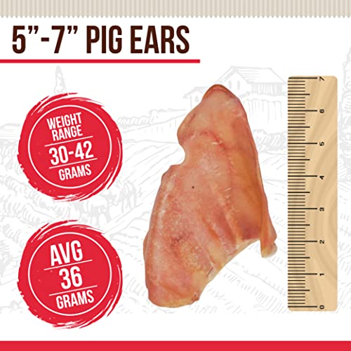 Pig Ears for Dogs 100% Natural Healthy & Pure Pork Ear is Easily Digestible with No Added Colorings, Chemicals Rawhide & Odor Free Dog Treats All Breed Sizes – Jumbo Size (6 Count) Pig Ears for Dogs 100% Natural Healthy & Pure Pork Ear is Easily Digestible with No Added Colorings, Chemicals Rawhide & Odor Free Dog Treats All Breed Sizes – Jumbo Size (6 Count)