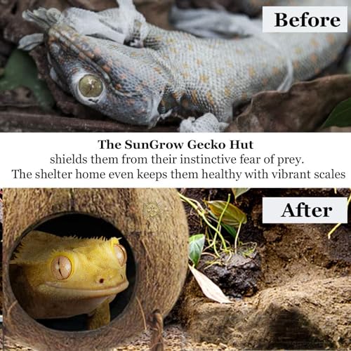 Image of SunGrow Crested Gecko, Snake & Ball Python Coco Hut, Treat & Food Dispenser, Climbing Porch, Hiding, Ideal for Reptiles, Amphibians (with Ladder)