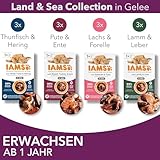 IAMS Delights Land & Sea Collection Katzenfutter Nass - Multipack mit Fleisch und Fisch Sorten in Gelee, Nassfutter für Katzen ab 1 Jahr, 12 x 85 g (Die Verpackung kann variieren )