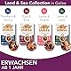 Iams Delights Land & Sea Collection Katzenfutter Nass - Multipack mit Fleisch und Fisch Sorten in Gelee, Nassfutter für Katzen ab 1 Jahr, 12 x 85 g