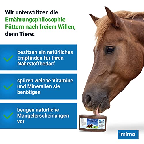 Imima Mineral Lick Horse EQUIBLOCK Set 2 x 3 kg