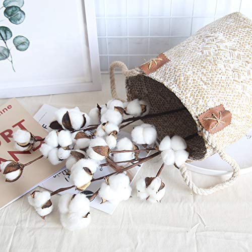 W-Shig TF3E4ACW4PX00F902C18XS1 5 Bunches 50 Cotton Balls Natural Dried Cotton Stem Artificial Cotton Flower Farmhouse Cotton Blossom Stems thumb #5