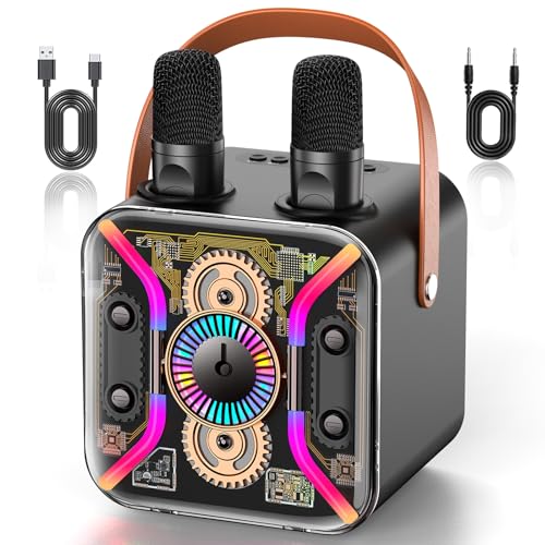 Karaoke Machine for Adults with Two Wireless Microphones, PA System Bluetooth Speaker with...