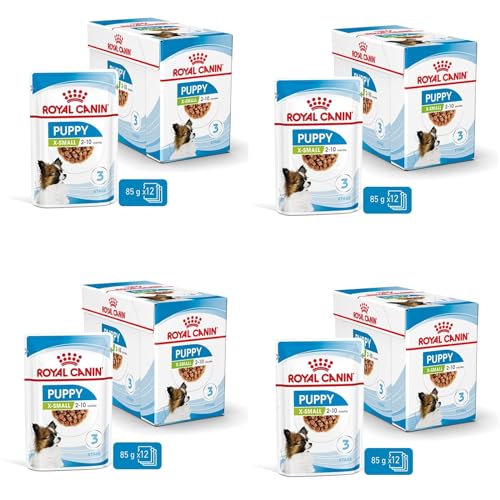ROYAL CANIN X-Small Puppy | 4er Pack | 4 x 12 x 85 g | Feuchtnahrung für besonders kleine Hundewelpen | Bis zum 10. Lebensmonat | Mit Häppchen in Soße | Im Pouchbeutel