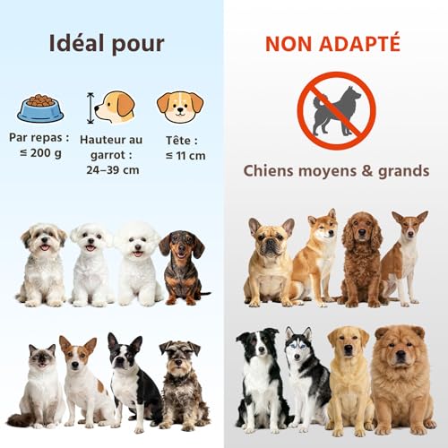 Gamelle pour chien surélevée céramique durable et support en métal stable