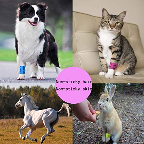 Stmandy Vet Tape Wrap, Wrap Bandage 2 Inch 6 Rolls,Adhesive Wrap Bandage For The Person Or The Pets (Cat,Dogs,Horse And Other Animal) Who Was Injure Or Have Wounds (Cartoon 6Pcs) #TOP4