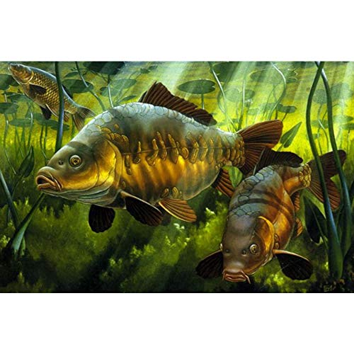 Diamond Painting Accessories,5D Diamant Peinture Carpe Pêche Ensemble Point De Croix Kit Plein Forage Broderie Diamant Mosaïque Art Photo De Strass Décor...