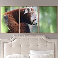 3 Piece Framed Canvas Wall Art Firefox Rustic Urban Canvas Prints Home Artwork Decoration for Living Room,Bedroom - 16