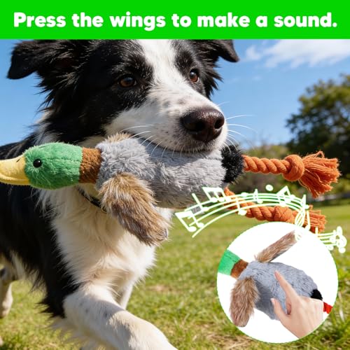 Set 4 juguetes sonoros para perros pequeños y medianos miniatura 6