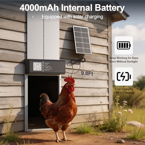 Image of Large Automatic Chicken Coop Door Solar Powered with Timer & Light Sensor | 4000MAh Internal Battery, Automatic Coop Door with Remote & Anti-Pinch Function, Automatic Chicken Door Made of Al-Alloy