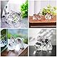 HDCRYSTALGIFTS 7,1 cm Kristall-Nilpferd-Figuren, Sammlerstücke, Geschenk für Mutter von Tochter, Kunstglas, Nilpferd, Statue, Tier, Briefbeschwerer, Ornament für Tisch, Heimdekoration