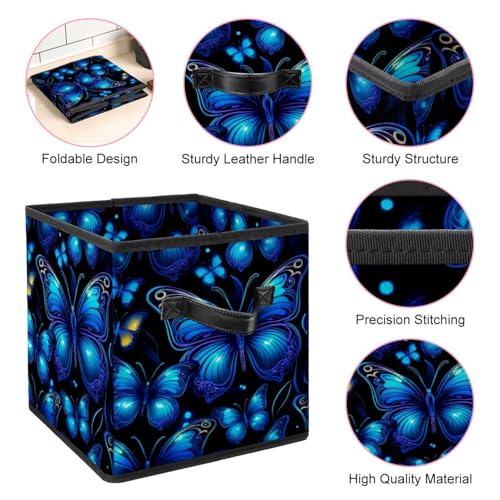 Boîte de rangement papillon bleu contre le désordre des armoires
