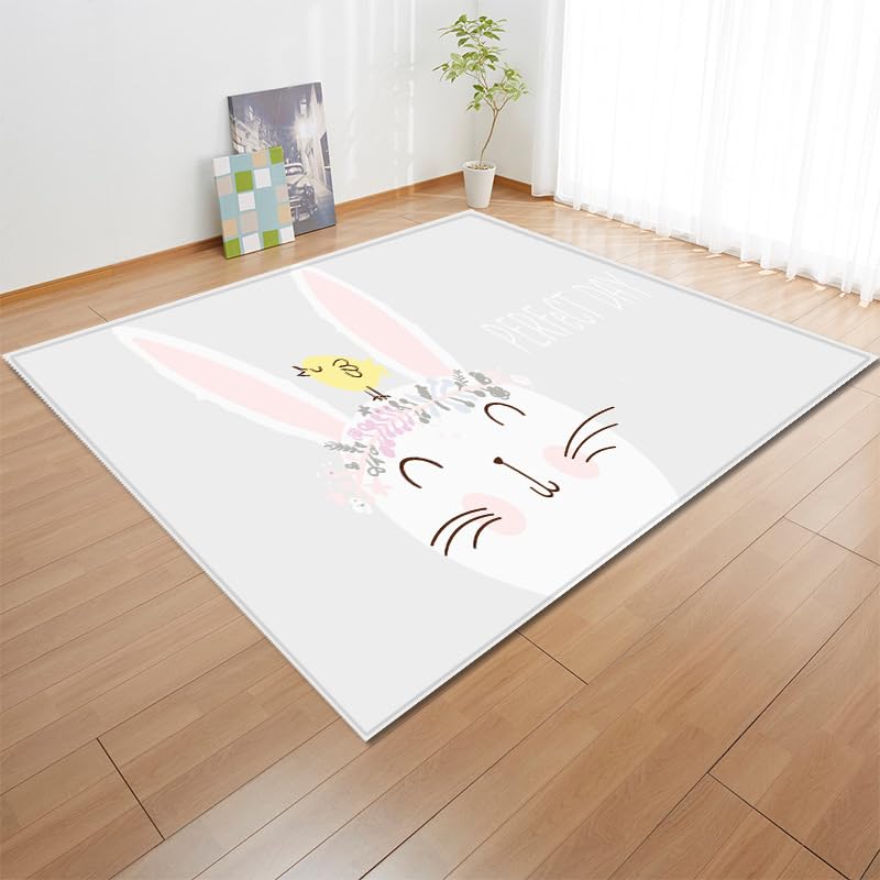 Tapis douceur premium poil ras lapin beige rose 60x90 cm chic pour lit