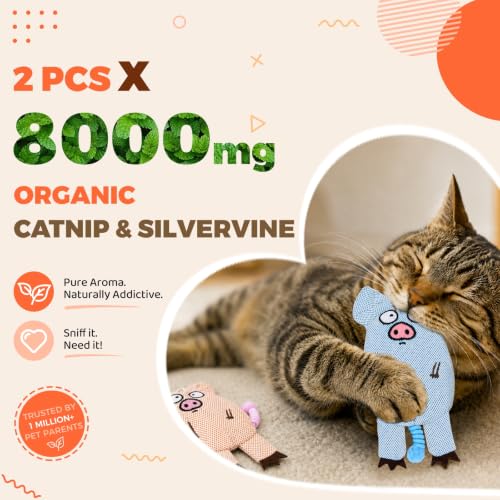 Katzenminze-Spielzeug, 2er-Set Interaktives Katzenspielzeug mit 8000 mg Katzenminze & Silvervine, Schwein aus Plüsch mit Knisterpapier, Glocke und Elastischem Schwanz zur Zahnpflege – Bild 4