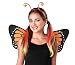 Seasons Butterfly Costume Accessory Set