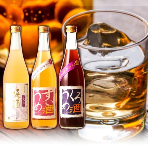 梅酒3回定期便セット 紀州完熟南高梅 すいうめ酒 くろうめ酒 720ml×各1本 3回 定期便 計3本 酒のねごろっく[30日以内に出荷予定(土日祝除く)]和歌山県 岩出市 酒 梅酒 紀州 梅すいうめ酒 完熟 南高梅 梅黒糖 720ml 2160ml