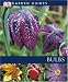 Produktbild Bulbs (Garden Guides)