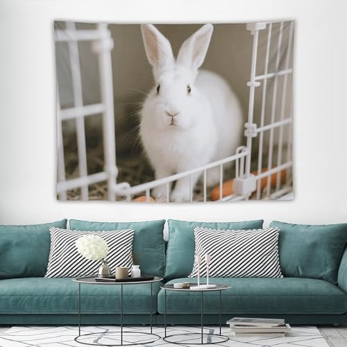 Tapisserie murale bohème lapin maccbn grand format vintage pour salon et chambre