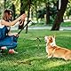 DEARBAG Reizangel Spielzeug, Ausziehbar Teleskopstange Mit Seil, Interaktives Hundespielzeug für Große, Mittlere und Kleine Hunde