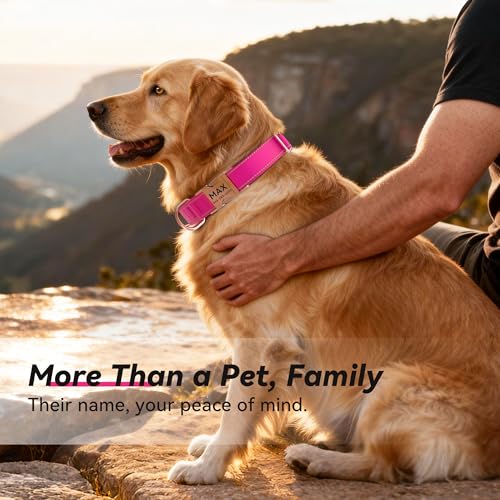 Personalized Reflective Dog Collar with Name and Phone Number, Engraved Pet ID Tag, Adjustable Nylon Collar with Quick Release Metal Buckle - Image 6