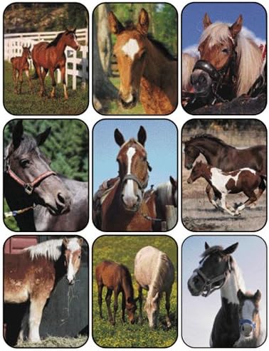 Eureka Horses Real Photos Stickers