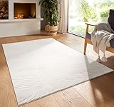 Taracarpet
