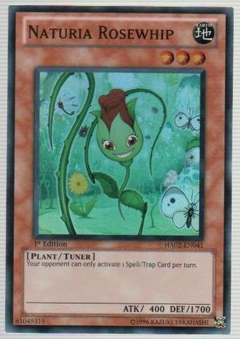 rose whip yugioh card Card Artworks:Cyber Harpie Lady with Rose Whip | Yu-Gi-Oh Card Maker Wiki