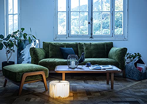 Amazon.co.jp: 【正規品】冨士ファニチア(FUji FURNITURE) ナギ(nagi