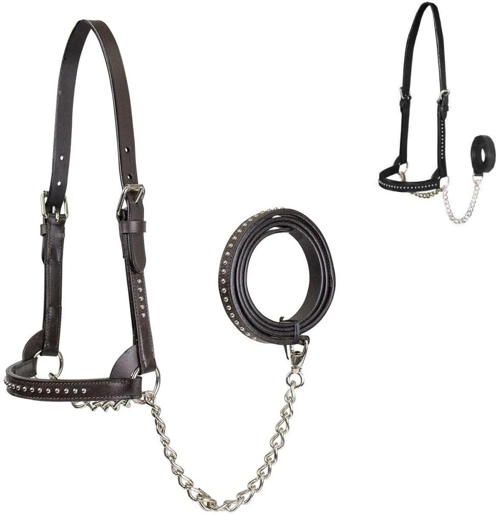 Derby Originals New and Improved Premium Show Spotted Flat Leather Cattle Show Halter with Matching Chain Lead