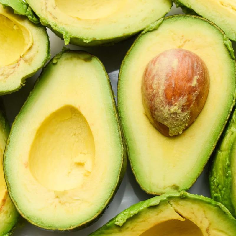 HASS Avocado Tree Live Plants – 1-2 Ft Live Plant | Delicious Avocados for Fresh Eating & Home Gardening | No Ship to CA,HI,AK
