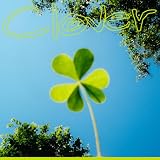 Clover ���ꂢ��