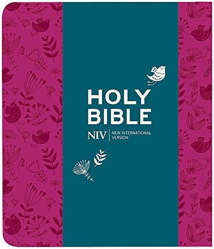 NIV Journalling Soft-tone Bible with Clasp (New International Version)