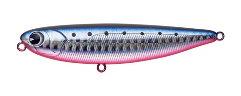 Amazon.co.jp: アムズデザイン(ima) ペンシルベイト プガチョフコブラ